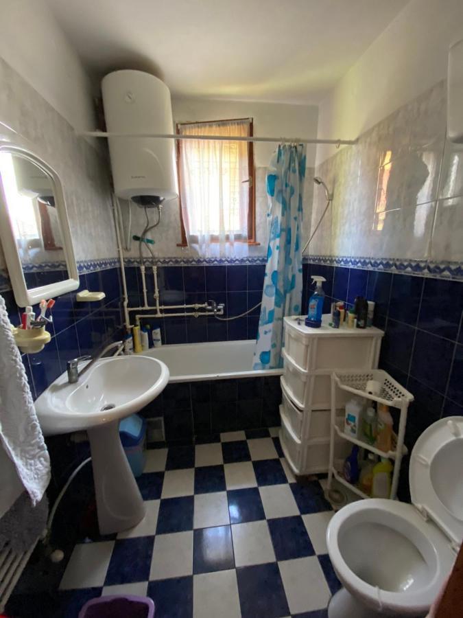 Apartman Zivic Berilovac Dış mekan fotoğraf